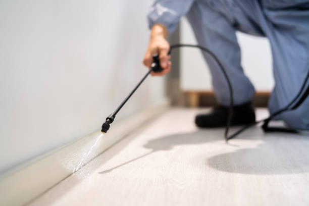 Licensed Fumigation Services service in Grand Coulee, WA - Nex Pest Control