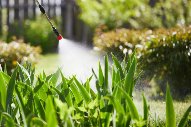24/7 Emergency Fumigation Services experts in Grand Coulee, WA