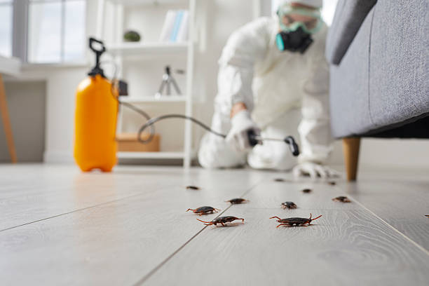 Trusted Fumigation Services service in Grand Coulee, WA - Nex Pest Control
