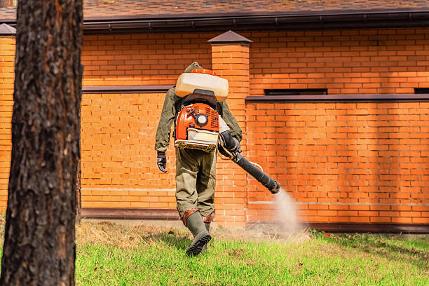 Trusted Ant Control service in Grand Coulee, WA - Nex Pest Control